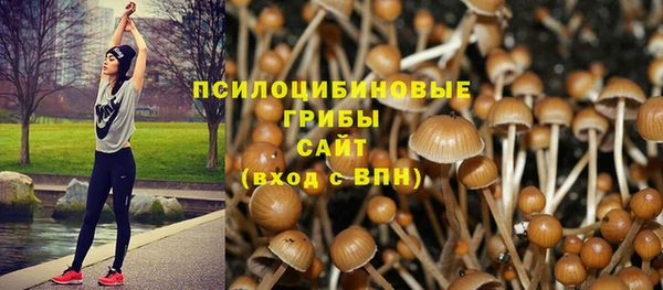 сатива Алексин
