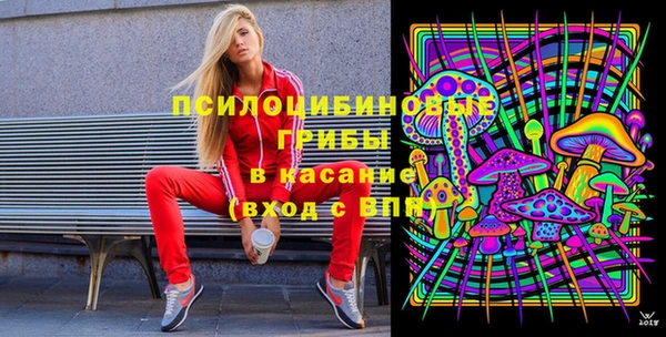 СК Алзамай