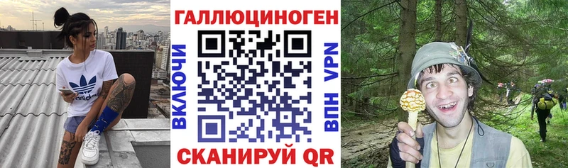 закладки  Крым  Псилоцибиновые грибы MAGIC MUSHROOMS 